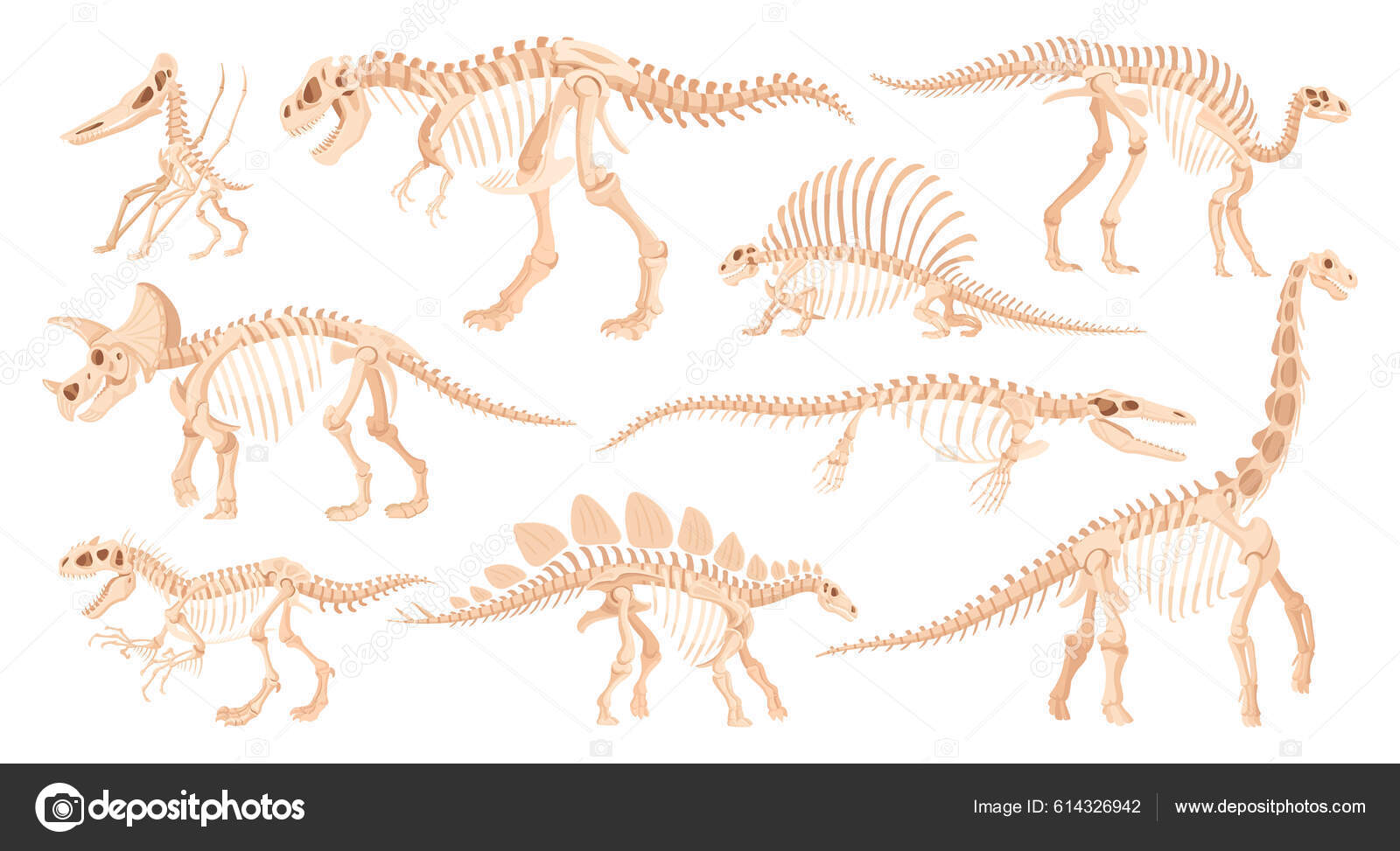 Esqueleto Dino Desenhos Animados Ossos Fósseis Dinossauros Antigos